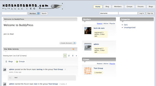 Buddypress Themes