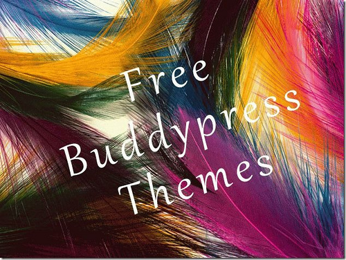 Buddypress Themes