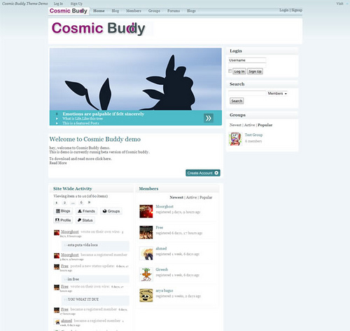 Buddypress Themes
