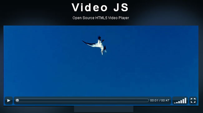 html video
