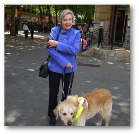App Improves Accessibility For Visually Impaired